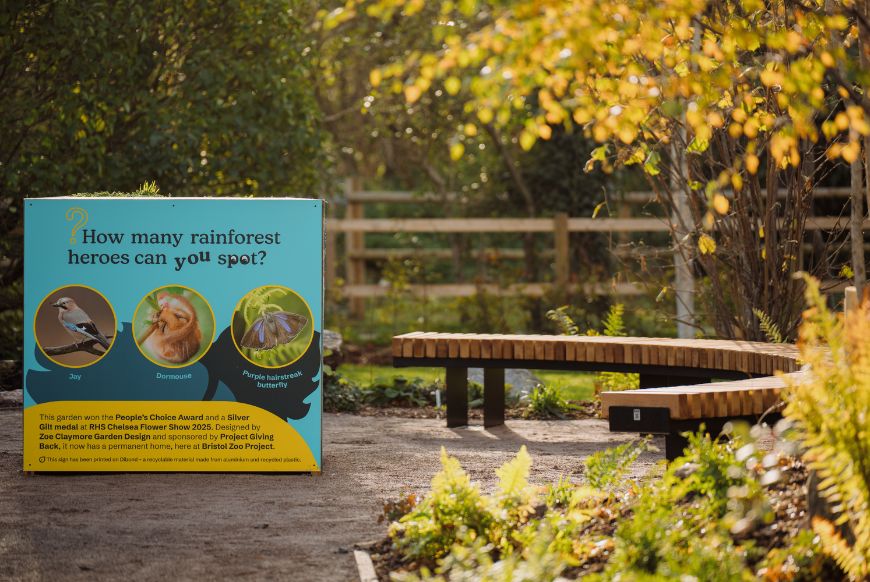 Educational signage at the rainforest gardens new home at Bristol Zoo